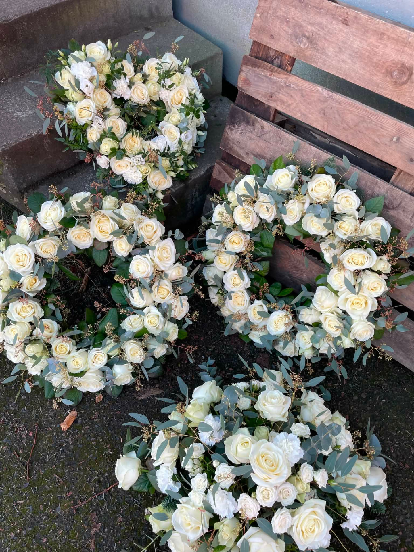 Vita kransar med eucalyptus